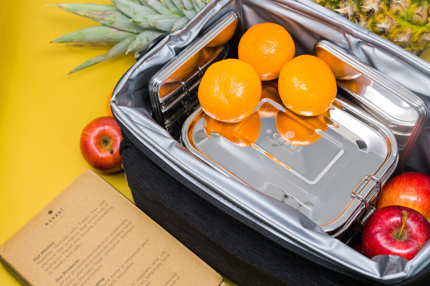 Stainless Steel Freezer PACKS FOR LUNCH Boxes and Lunch Bags, 2 Pack - Concordia Style Boutique