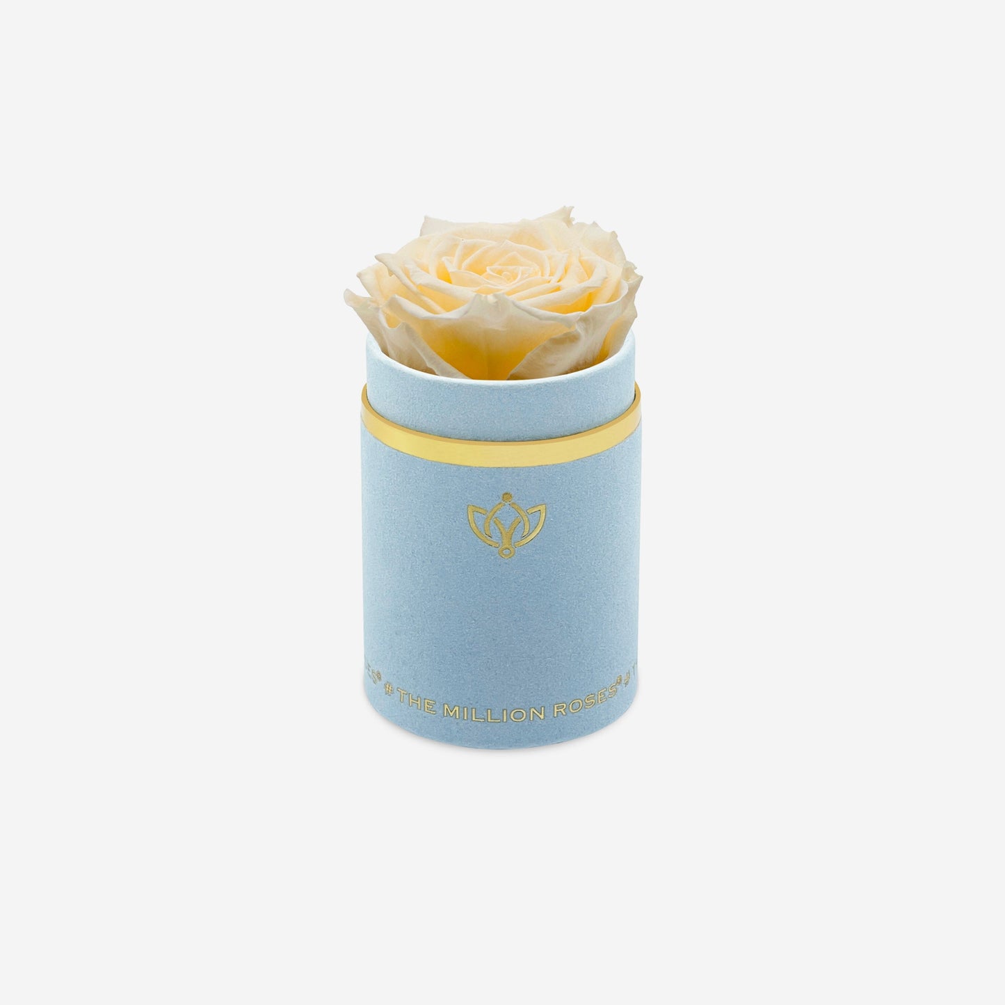 Single Light Blue Suede Box | Ivory Rose