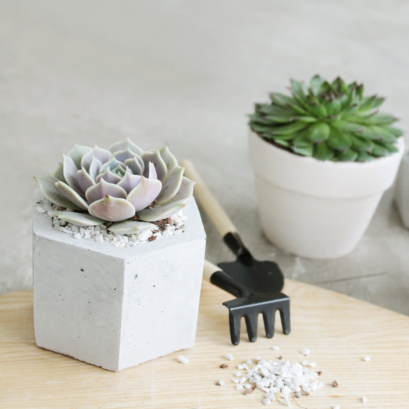 2'' White Clay Pot