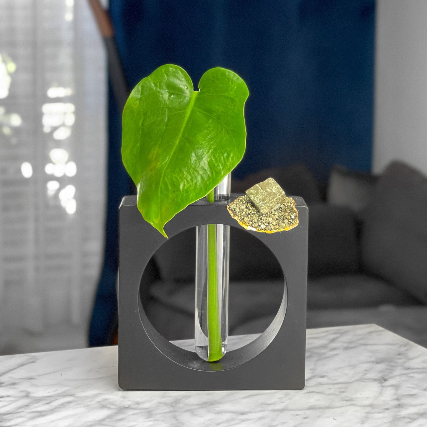 PYRITE PROPAGATION STATION - Concordia Style Boutique