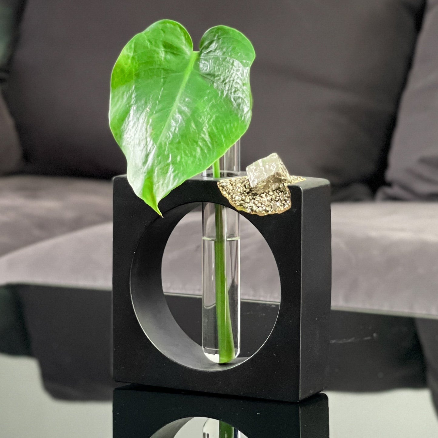 PYRITE PROPAGATION STATION - Concordia Style Boutique