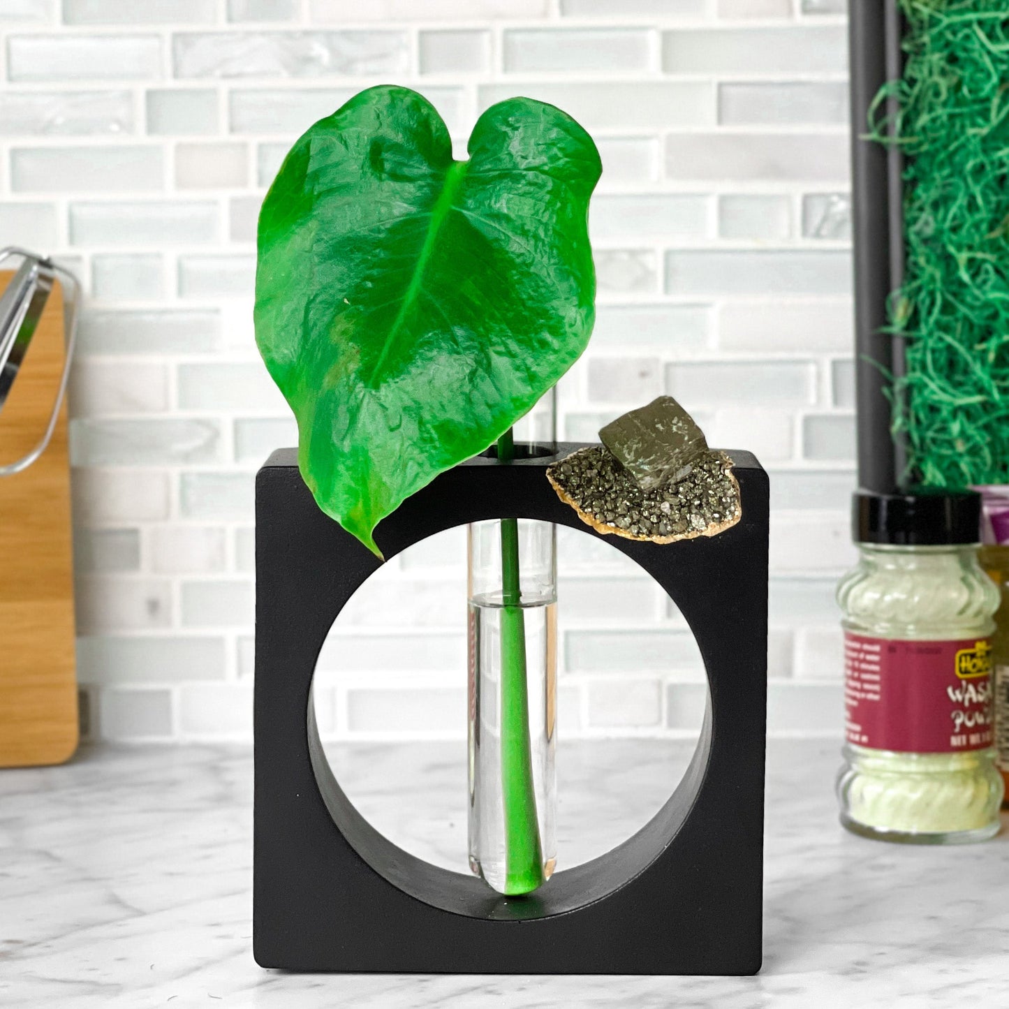 PYRITE PROPAGATION STATION - Concordia Style Boutique