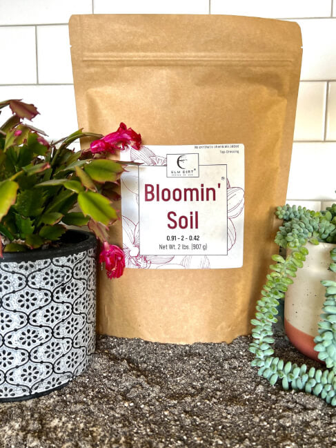 Bloomin' Soil - Organic Flower Booster for Bigger, Longer-Lasting Blooms - Concordia Style Boutique