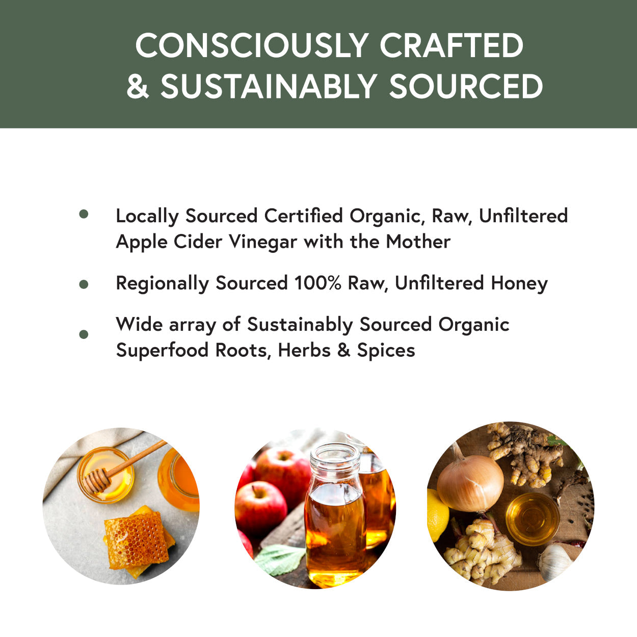 Maple Honey Fire Cider - Concordia Style Boutique
