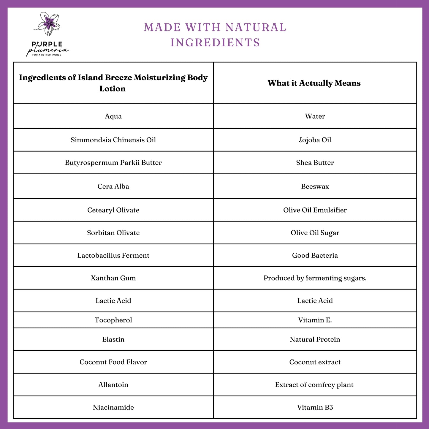 Natural Body Lotion (Rose or Coconut) Deep Moisturizing for All Skin Types
