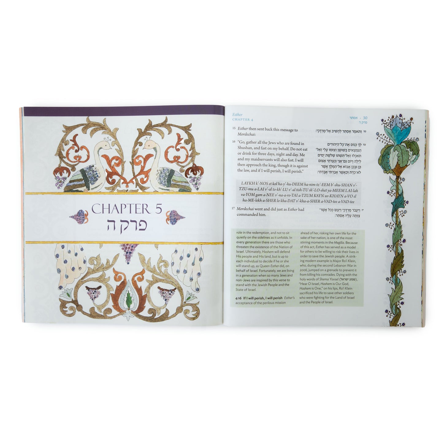 The Israel Bible Scroll of Esther