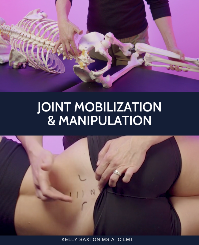 Joint by Joint Mobilization (4 hrs) - Concordia Style Boutique
