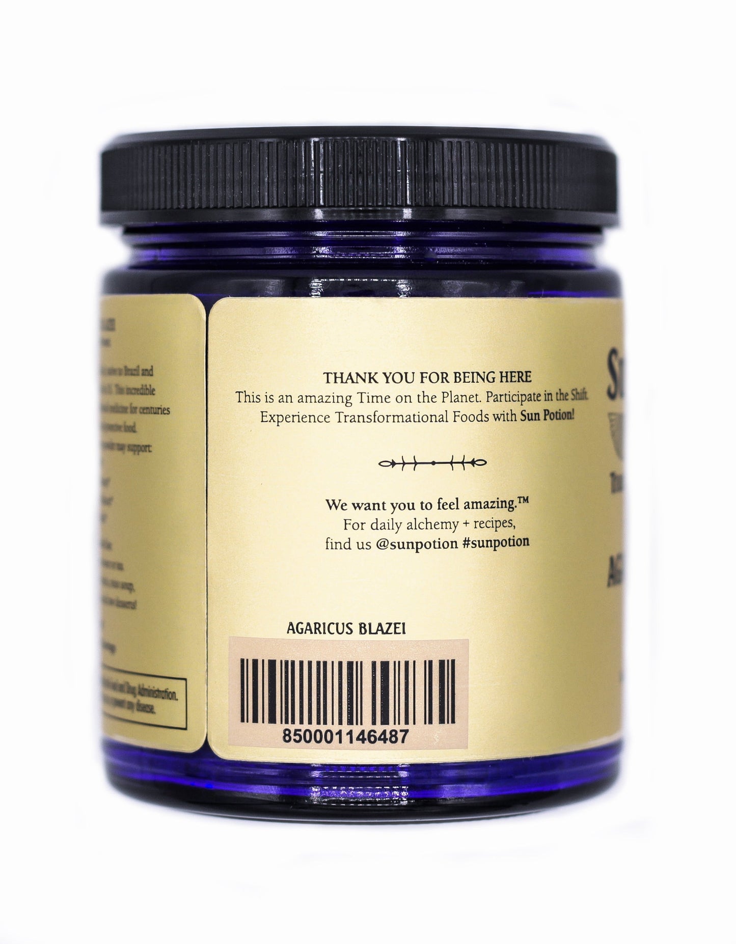 Agaricus Blazei (Organic) - Concordia Style Boutique