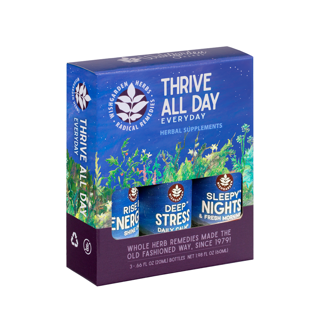 Thrive All Day 3-Pack - Concordia Style Boutique