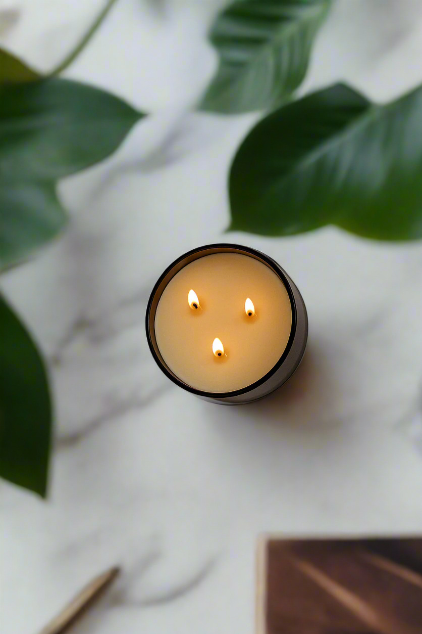 Lavender + Cedar - Signature 3-Wick Candle - Concordia Style Boutique