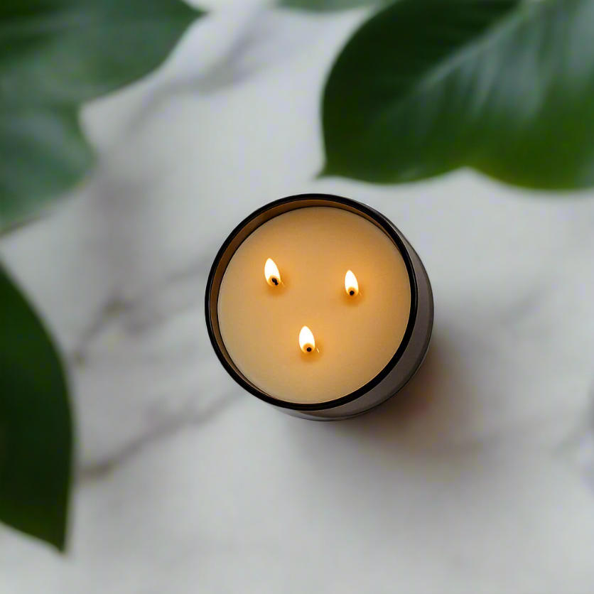 Eucalyptus + Lavender - Signature 3-Wick Candle - Concordia Style Boutique