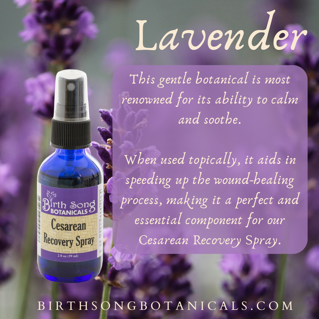 Herbal Cesarean Spray with Lavender, To Support Healthy Skin* 2 oz. - Concordia Style Boutique
