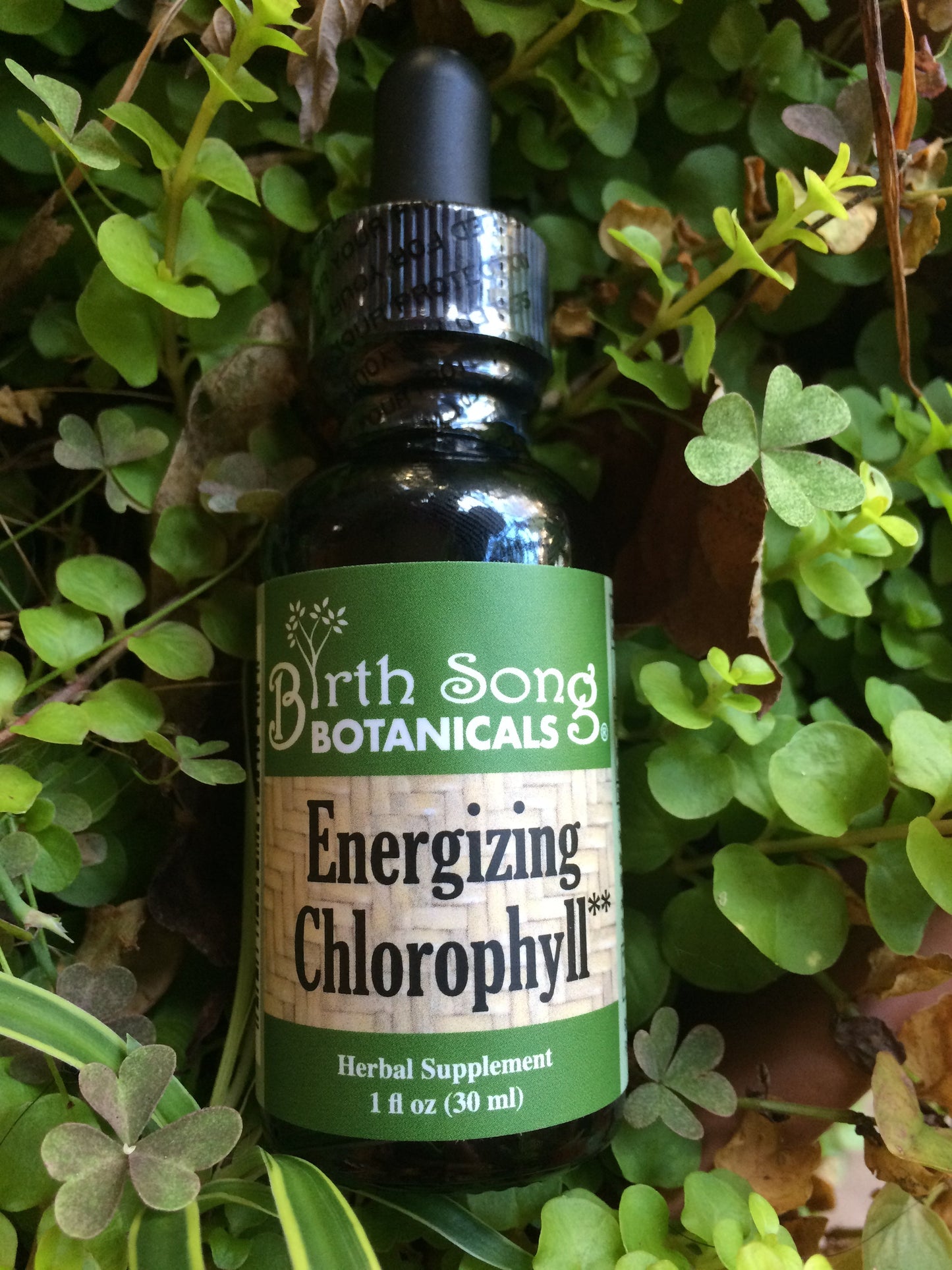 Energizing Chlorophyll Liquid Drops, Peppermint Flavored, Natural Energy, Skin Health, Immune Support* 1 oz. - Concordia Style Boutique
