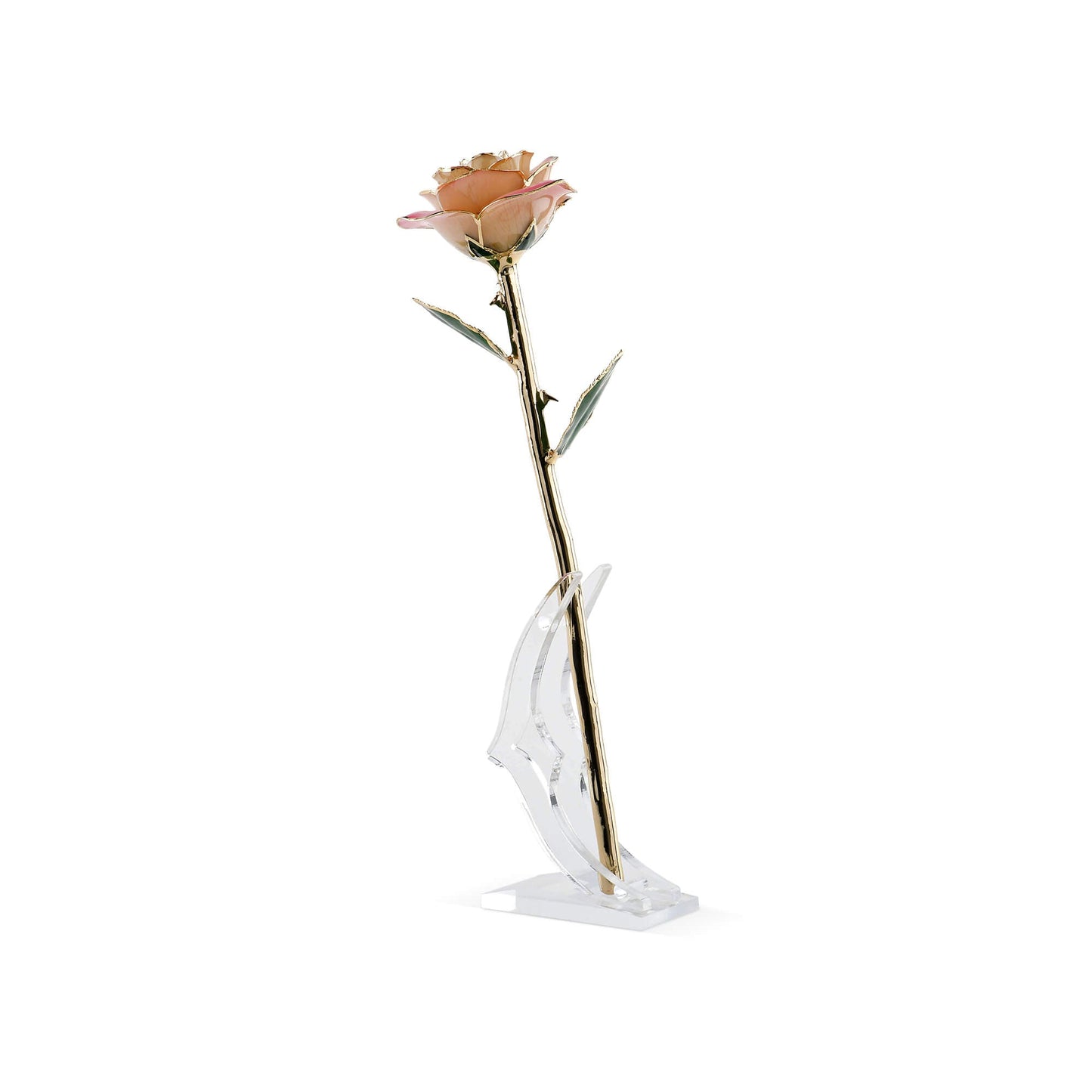Timeless Rose (Light Pink) - Concordia Style Boutique