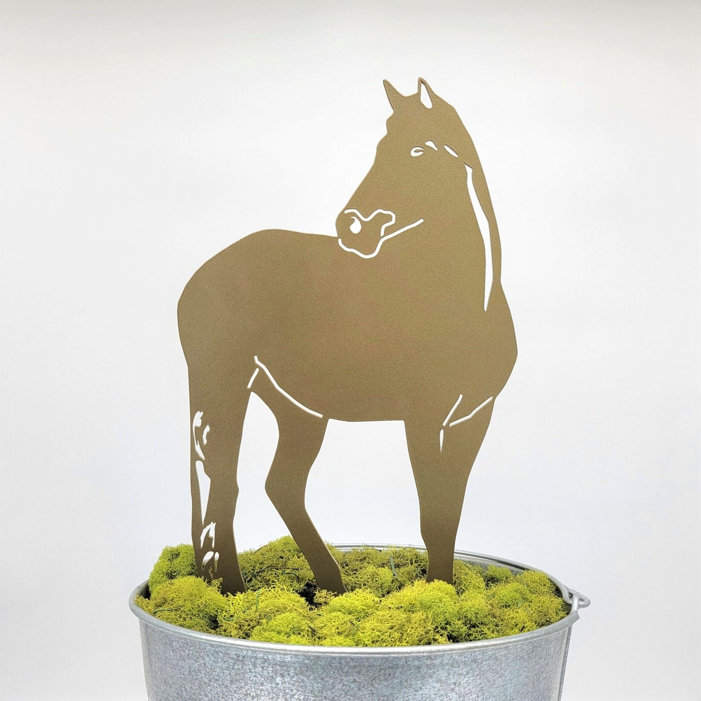 Special Edition *Gold* Horse