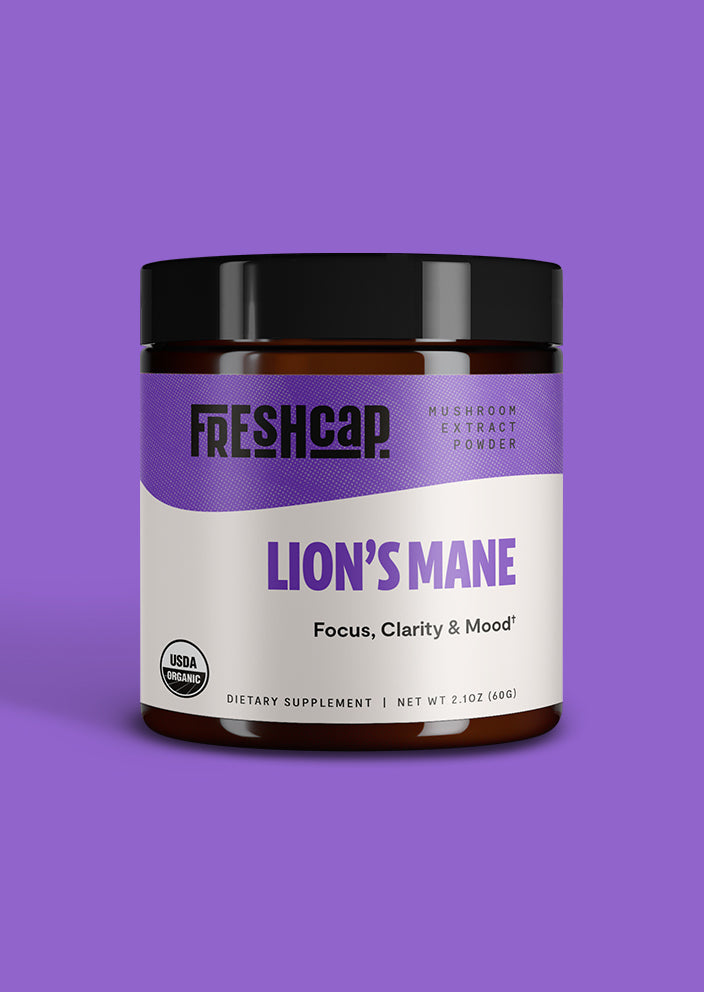 Lion's Mane Mushroom Extract Powder - Concordia Style Boutique