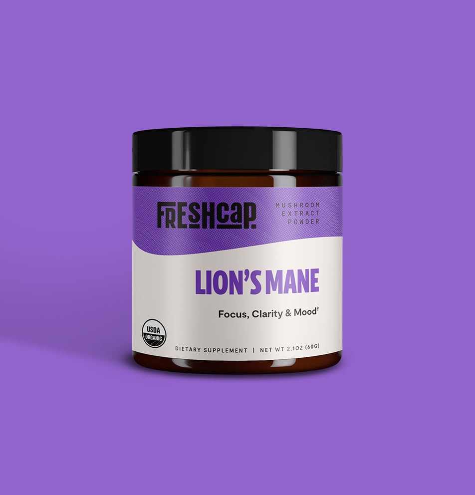 Lion's Mane Mushroom Extract Powder - Concordia Style Boutique