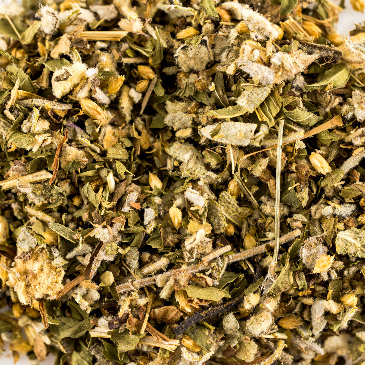 Lung Support Herbal Tea for Bronchial Wellness, Respiratory and Immune Support for Clear Breathing* 3 oz. - Concordia Style Boutique