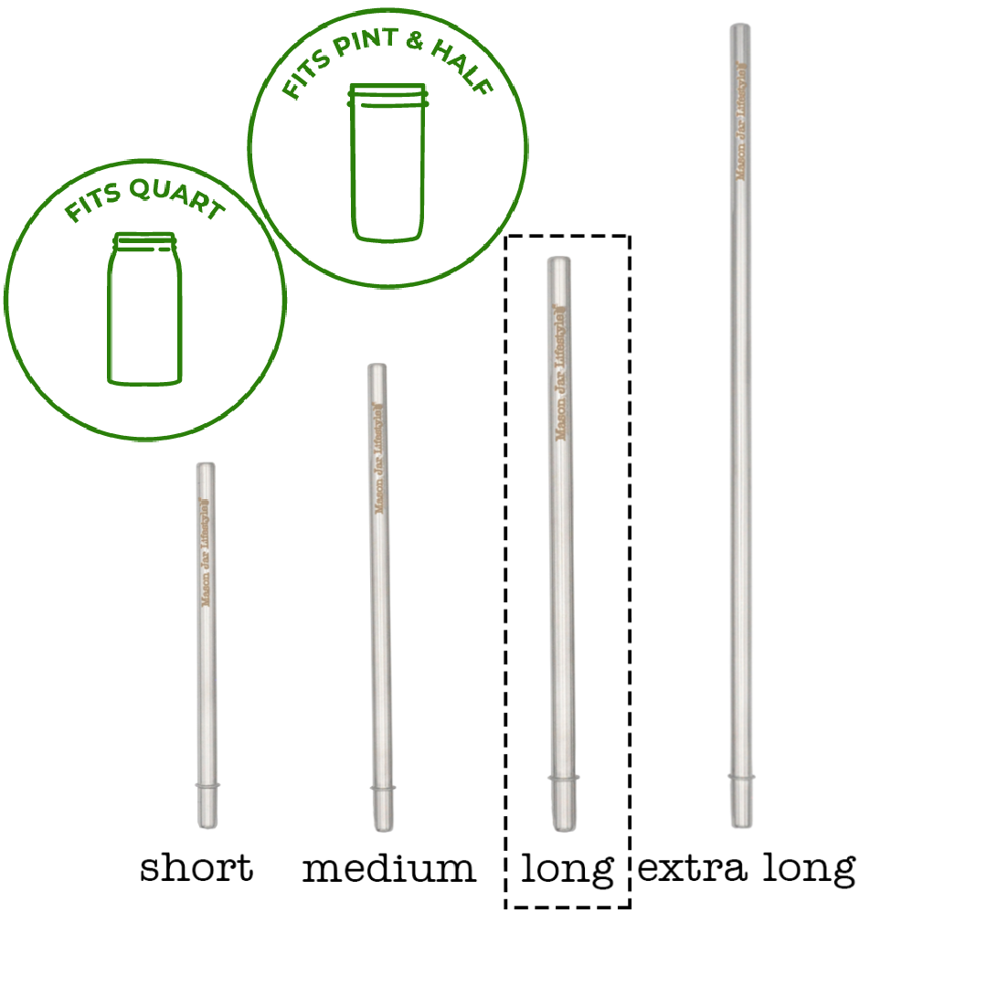 Individual Stainless Steel & Glass Straws for Mason Jars - Concordia Style Boutique