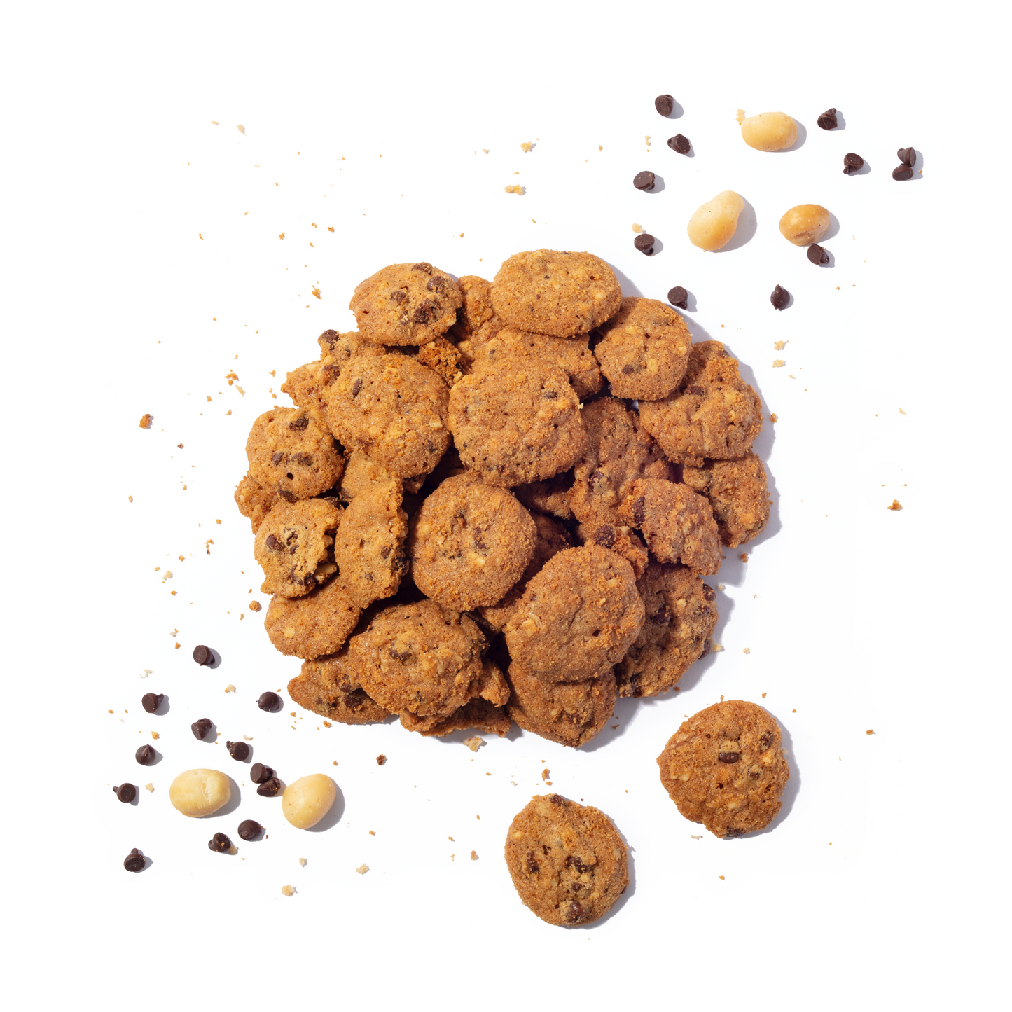 Macadamia Chocolate Chip - Concordia Style Boutique