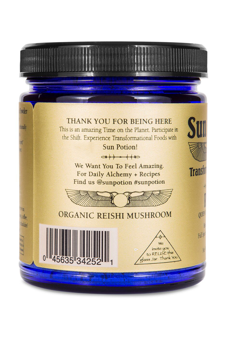 Reishi Mushroom Powder (Organic) - Concordia Style Boutique