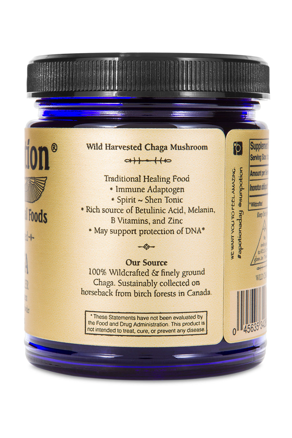 Chaga Mushroom Powder (Wildcrafted) - Concordia Style Boutique