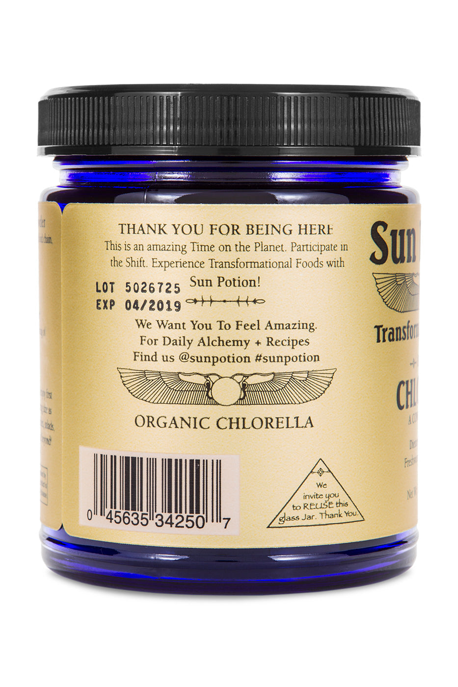 Chlorella Powder (Organic, Sound Processed) - Concordia Style Boutique