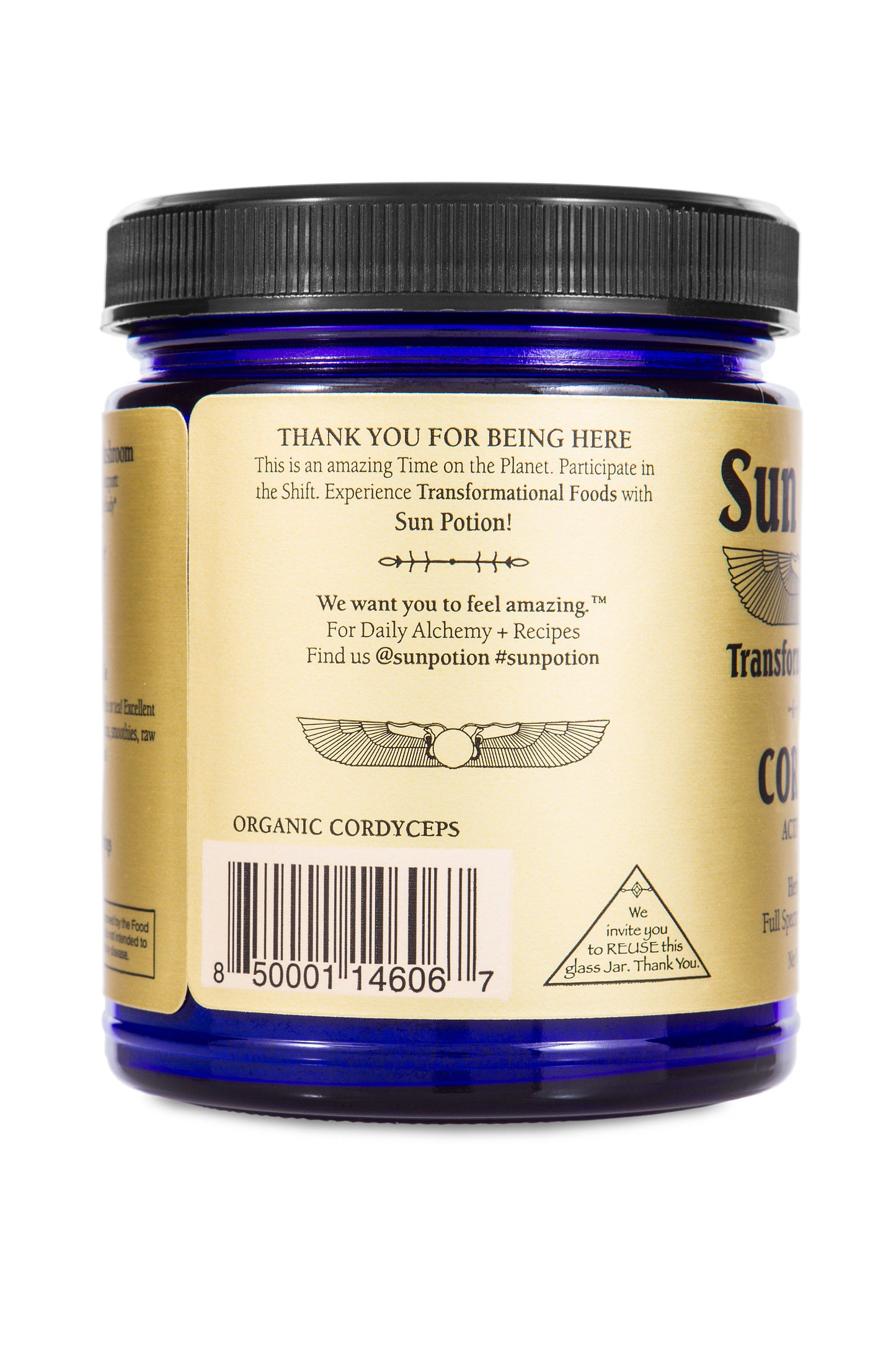 Cordyceps Mushroom Powder (Organic) - Concordia Style Boutique