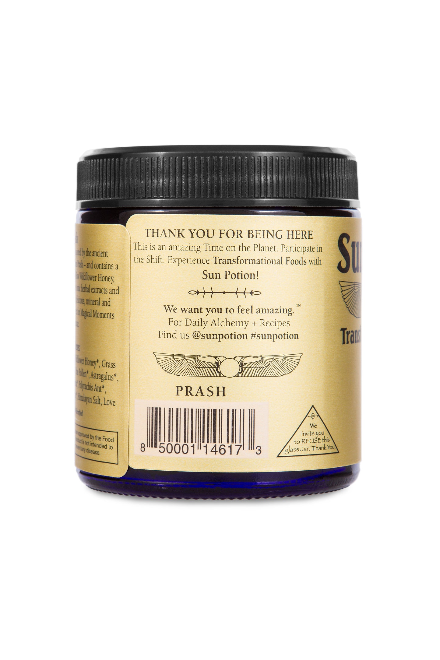 Prash - Tonic Ambrosia - Concordia Style Boutique