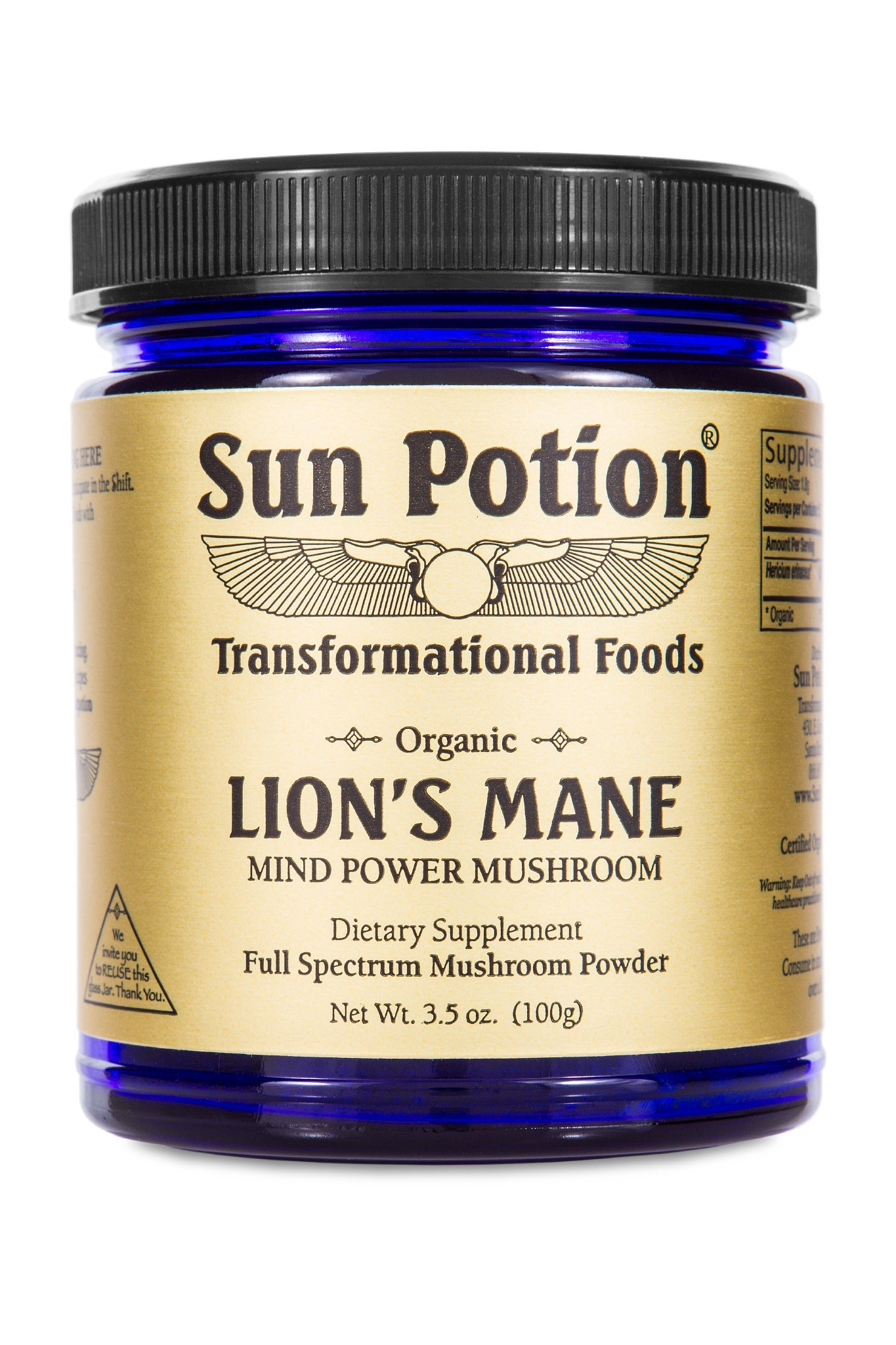 Lion's Mane (Organic) 100 grams - Concordia Style Boutique