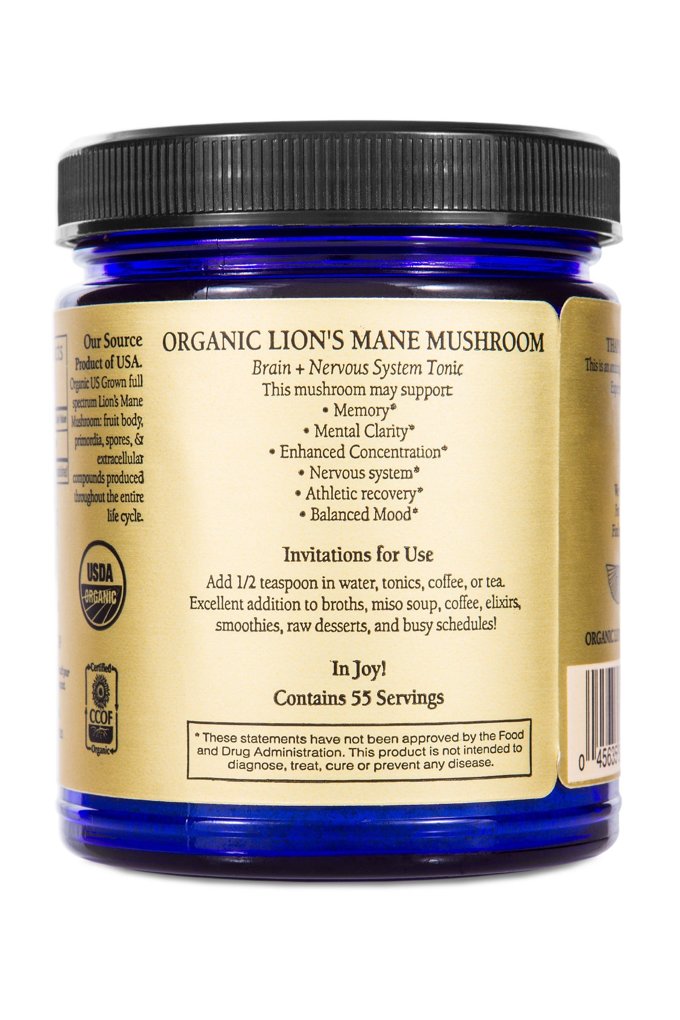Lion's Mane (Organic) 100 grams - Concordia Style Boutique