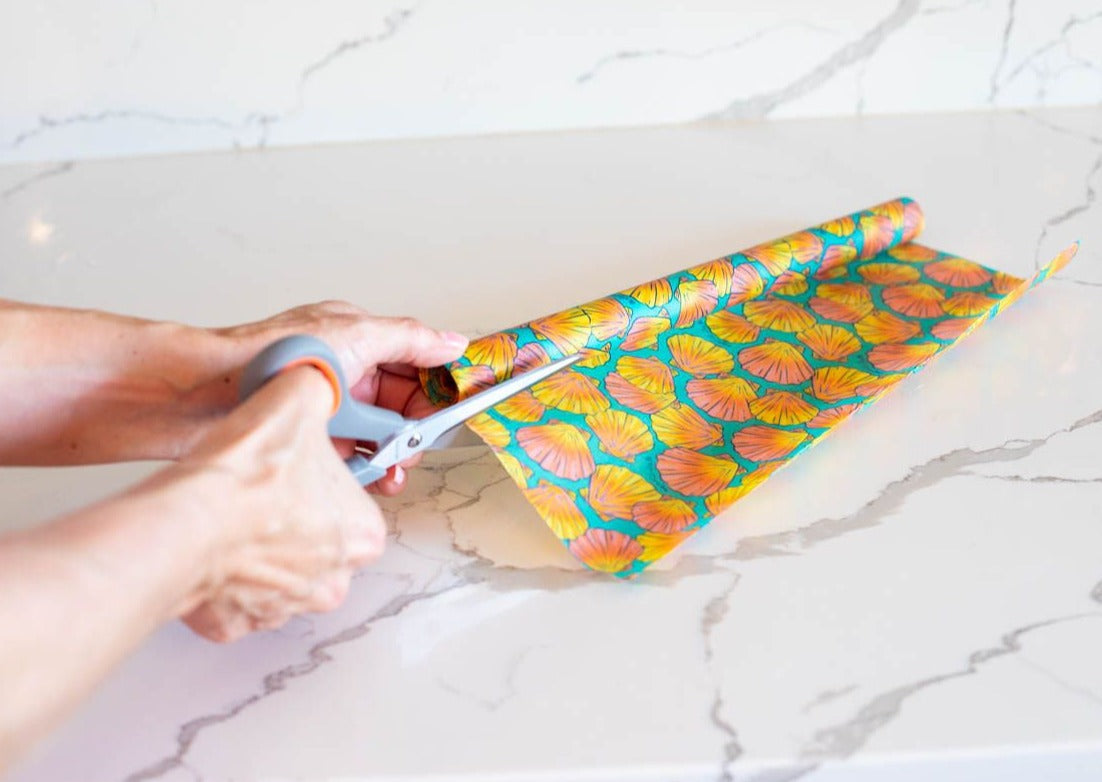 Beeswax Wrap Bulk Roll - Shells Print - Concordia Style Boutique