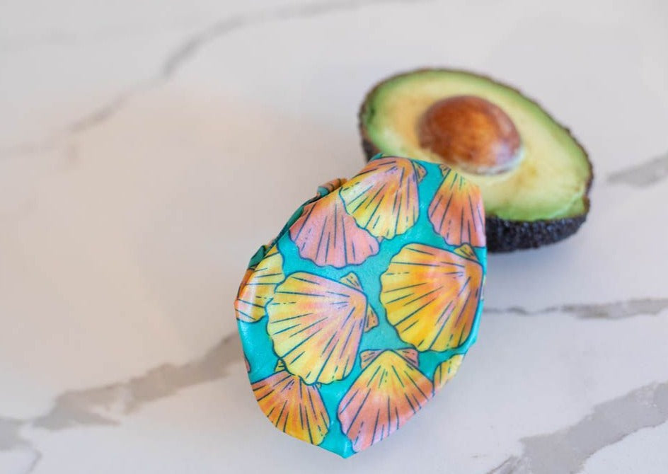 Beeswax Wrap Bulk Roll - Shells Print - Concordia Style Boutique