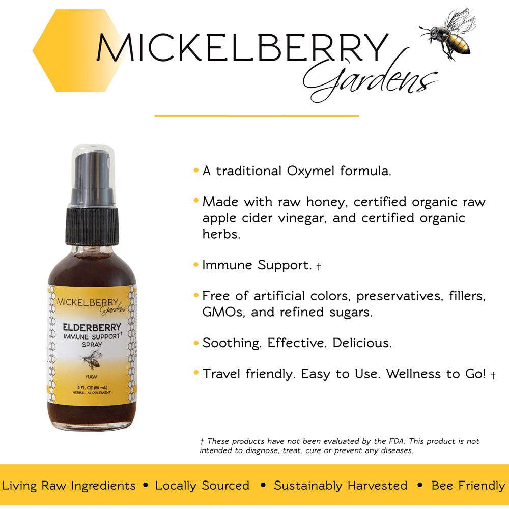 Elderberry Immune Support Spray - Concordia Style Boutique