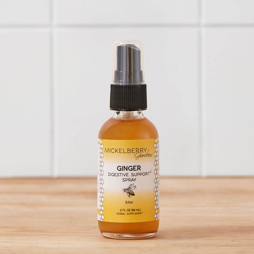 Ginger Digestive Support Spray - Concordia Style Boutique