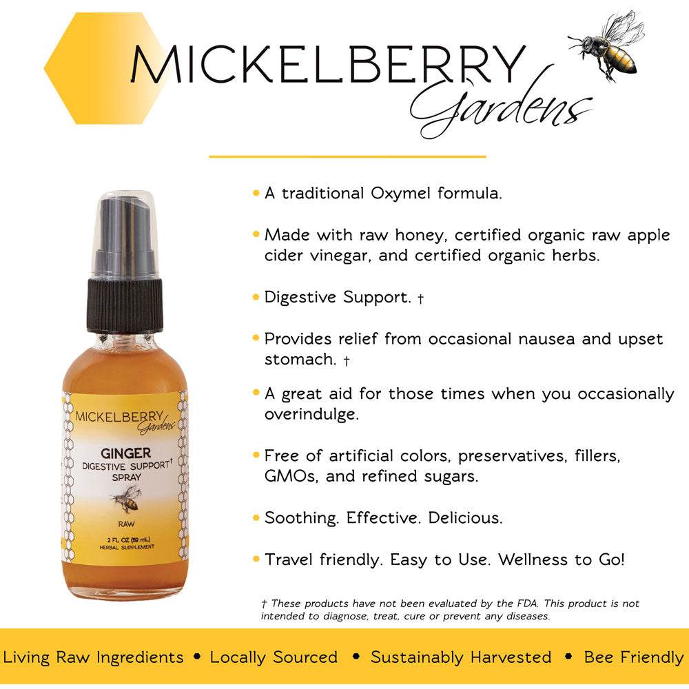 Ginger Digestive Support Spray - Concordia Style Boutique