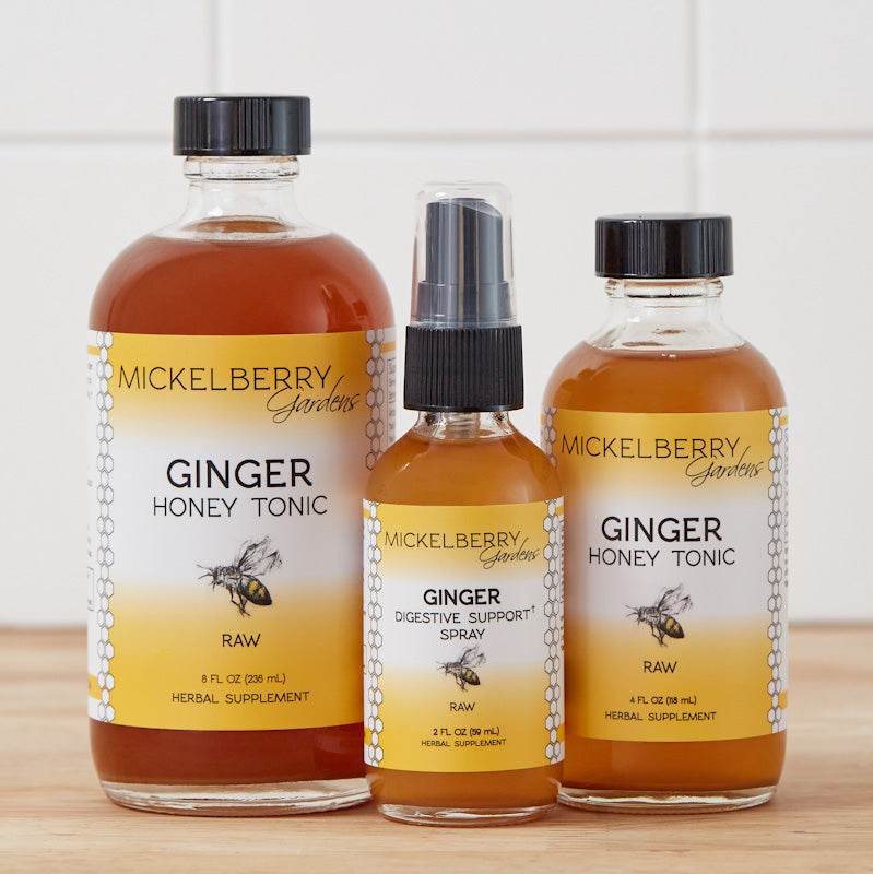 Ginger Digestive Support Spray - Concordia Style Boutique