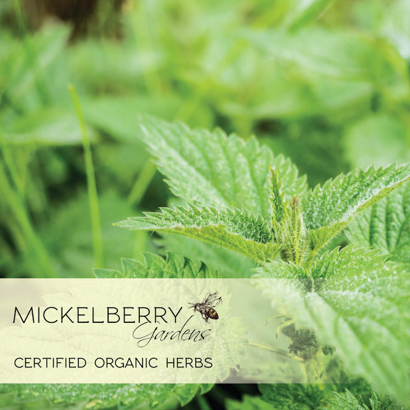Pollen Honey Tonic - Premium Honey Tonic from Mickelberry Gardens - Just $11.99! Shop now at Concordia Style Boutique