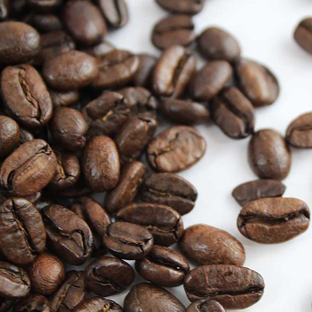 Organic Mocha Java Whole Bean Coffee Blend - Concordia Style Boutique