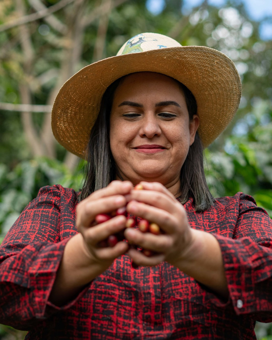 Honduran Parainema Coffee - Concordia Style Boutique