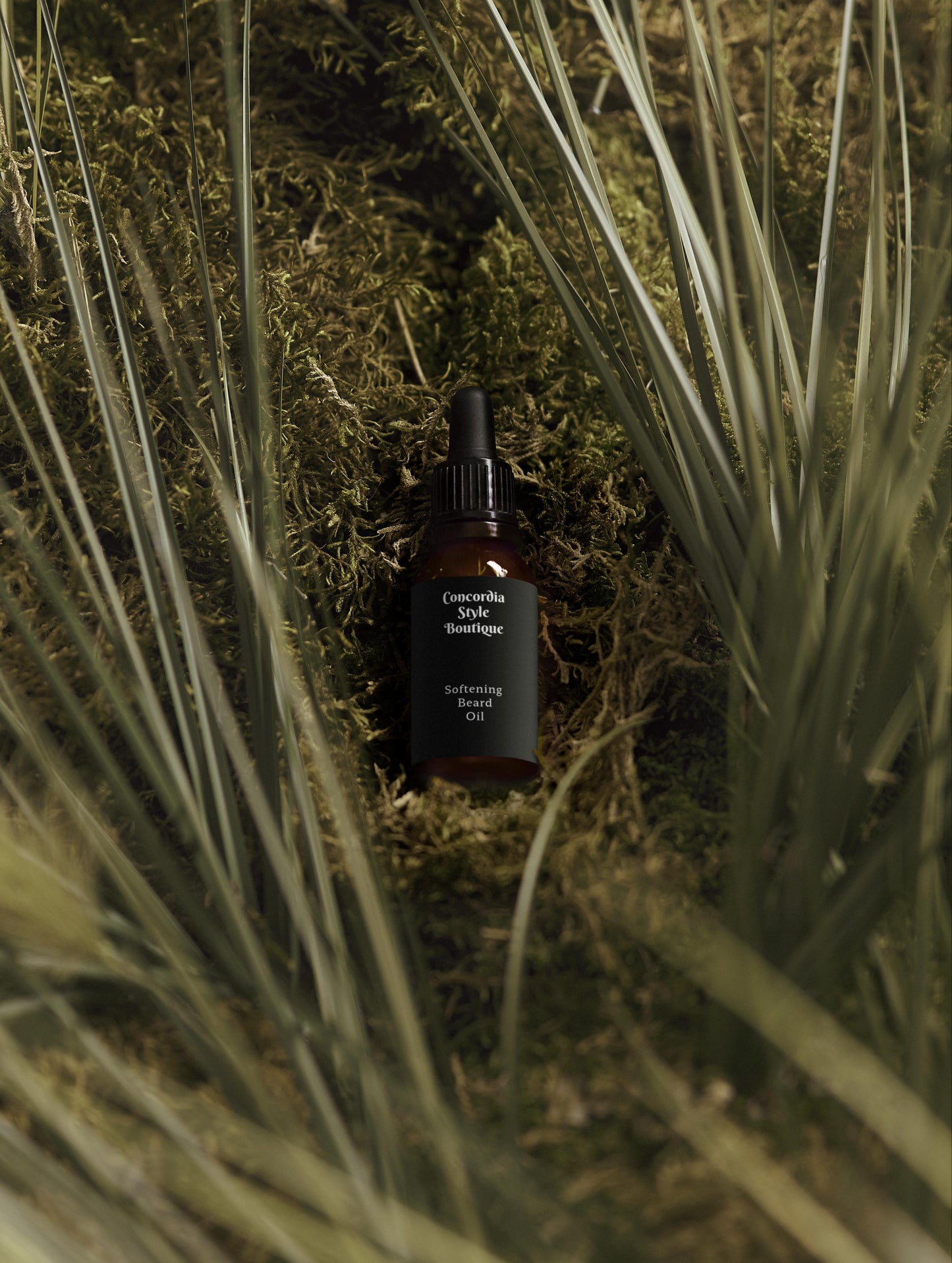 Softening Beard Oil - Concordia Style Boutique