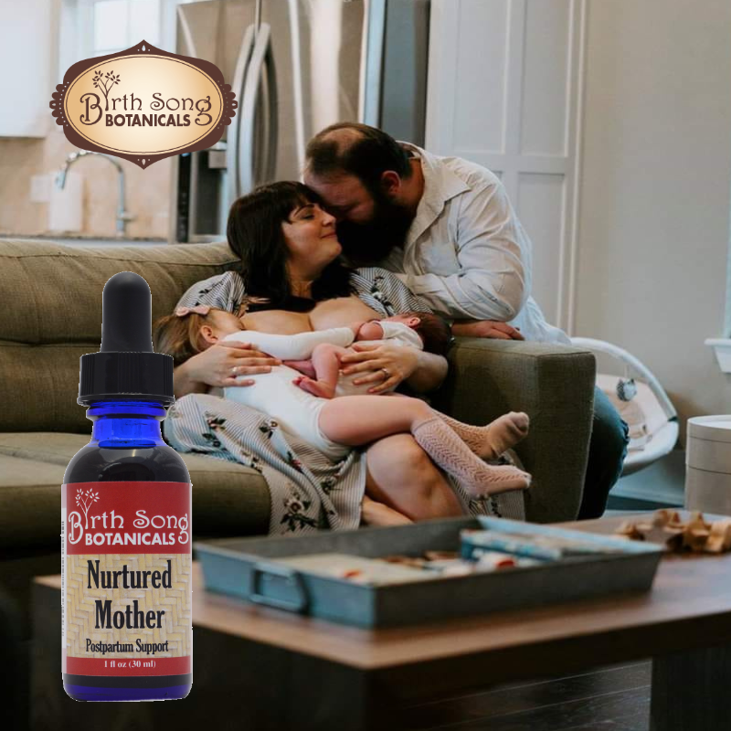 Nurtured Mother Postpartum Support Supplement for Comfort and Mood Support* with Cramp Bark, 1oz. - Concordia Style Boutique