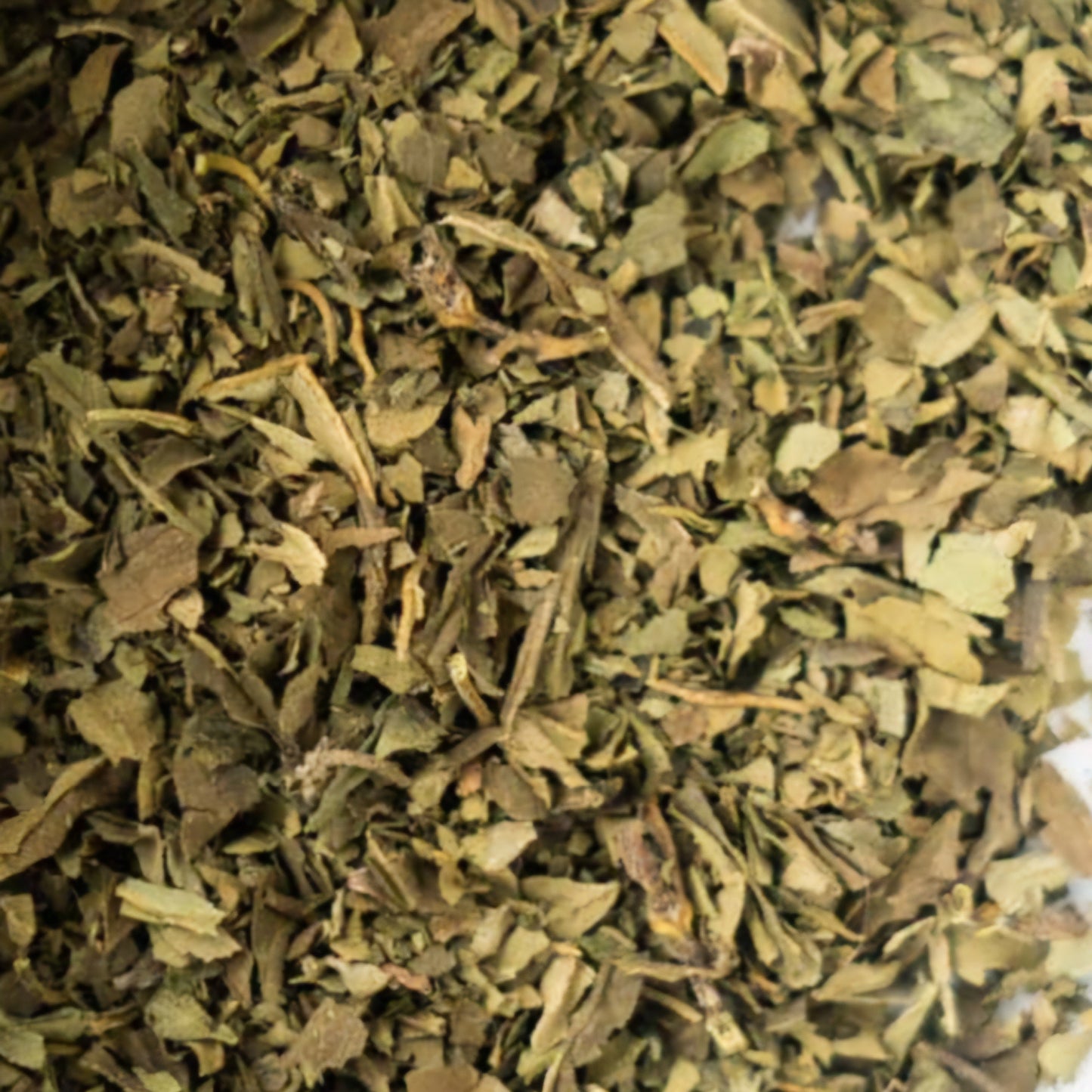 Basil Leaf | Digestive Comfort & Uplifting Energy