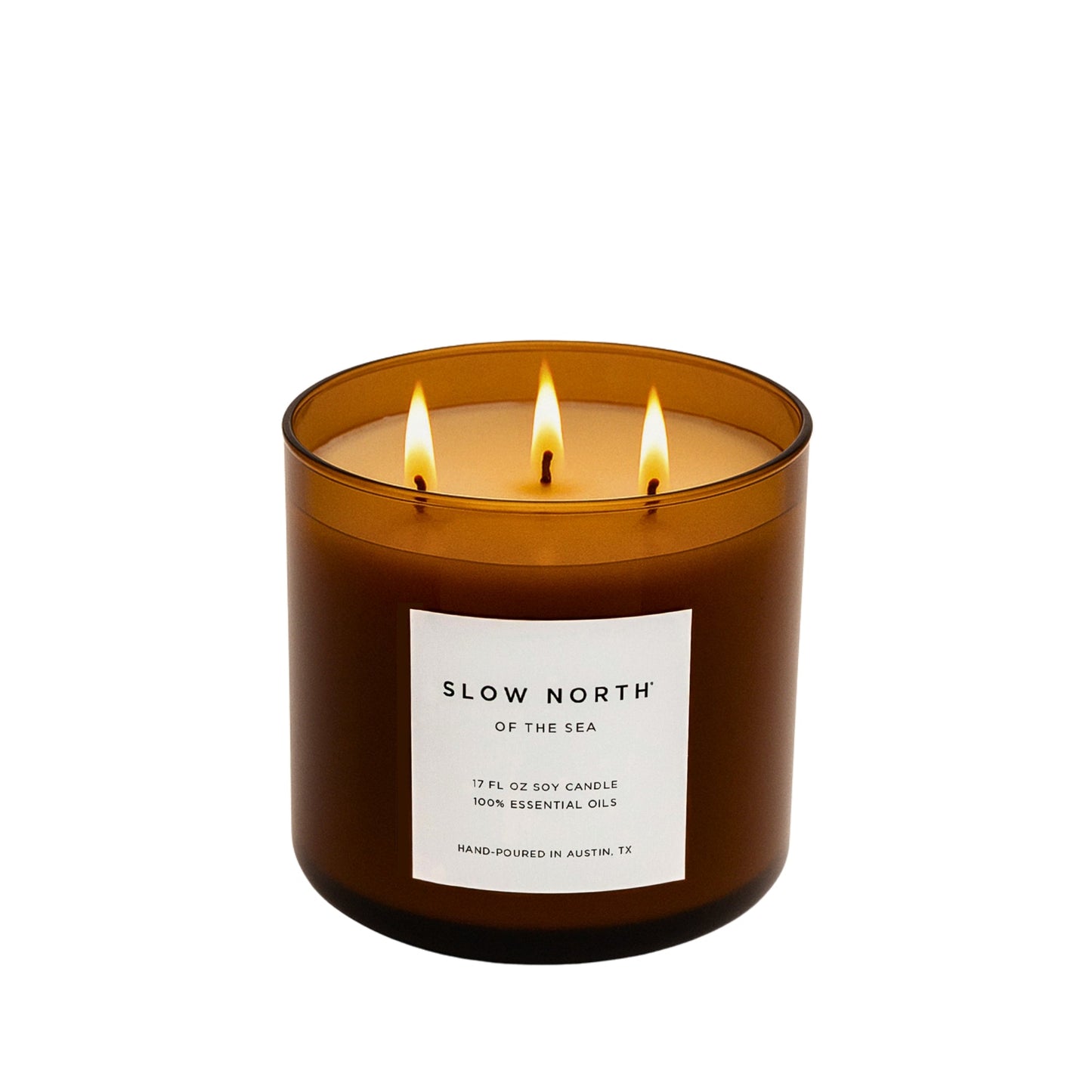 Of The Sea (Eucalyptus + Lavender + Peppermint) - Signature 3-Wick Candle - Concordia Style Boutique