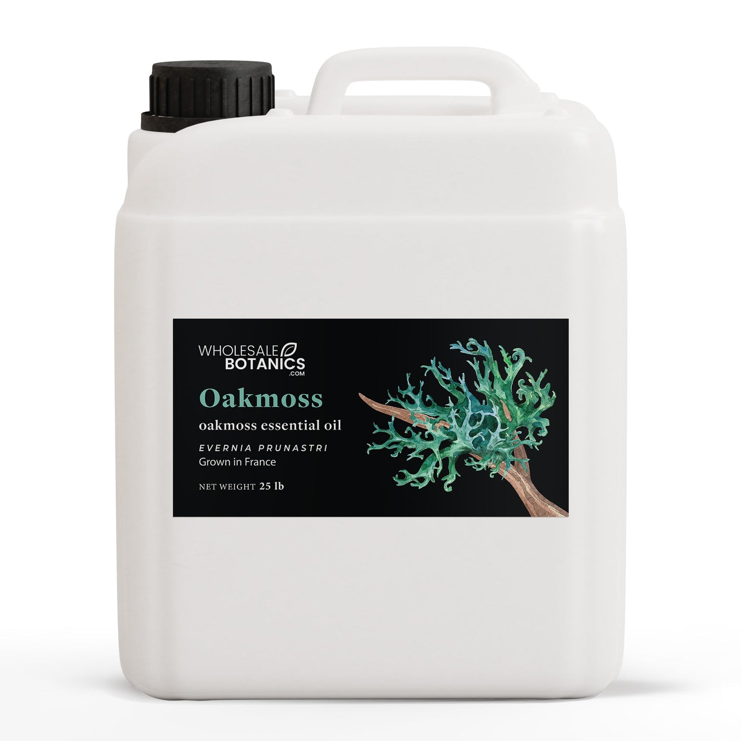 Oakmoss Essential Oil
