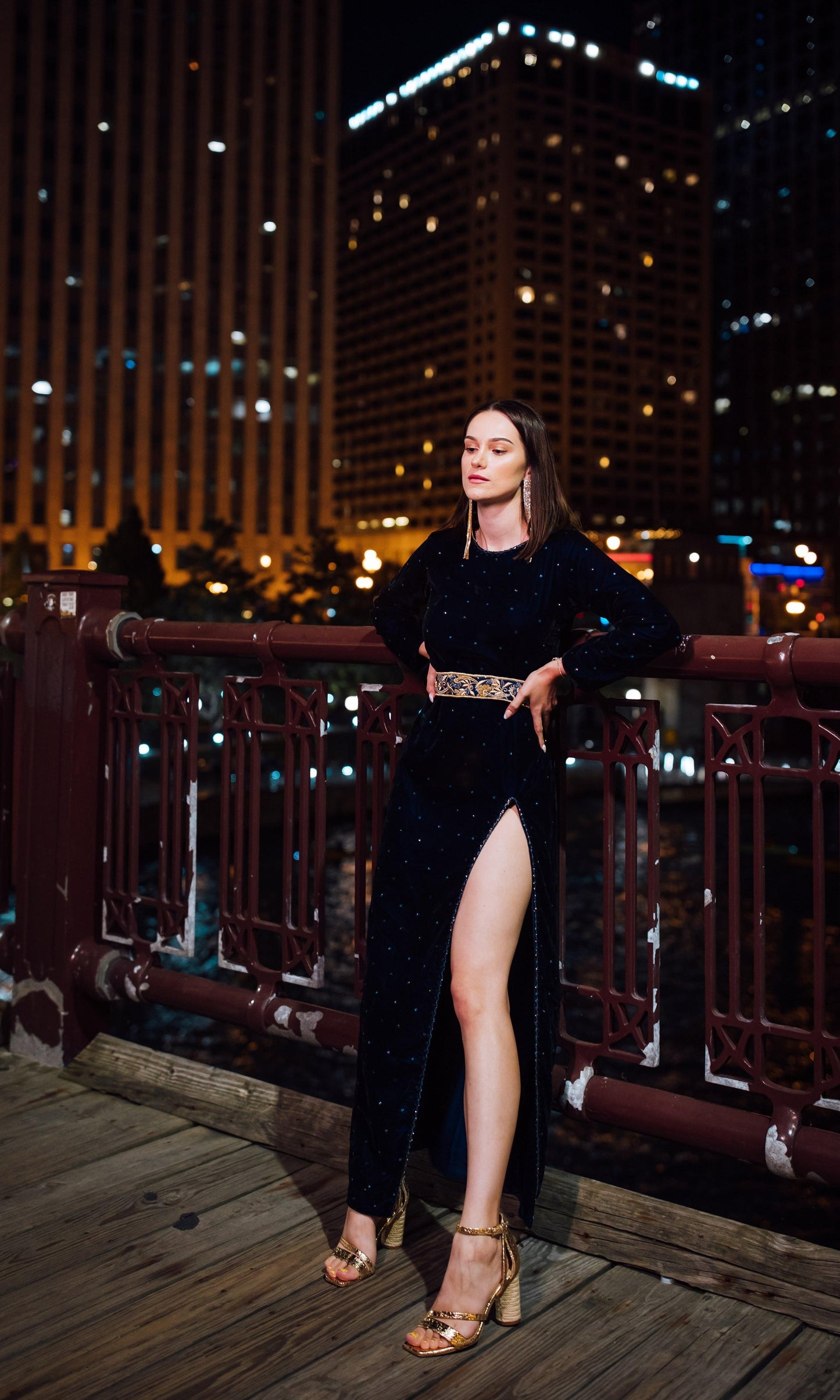 Odette Long Velvet Dress