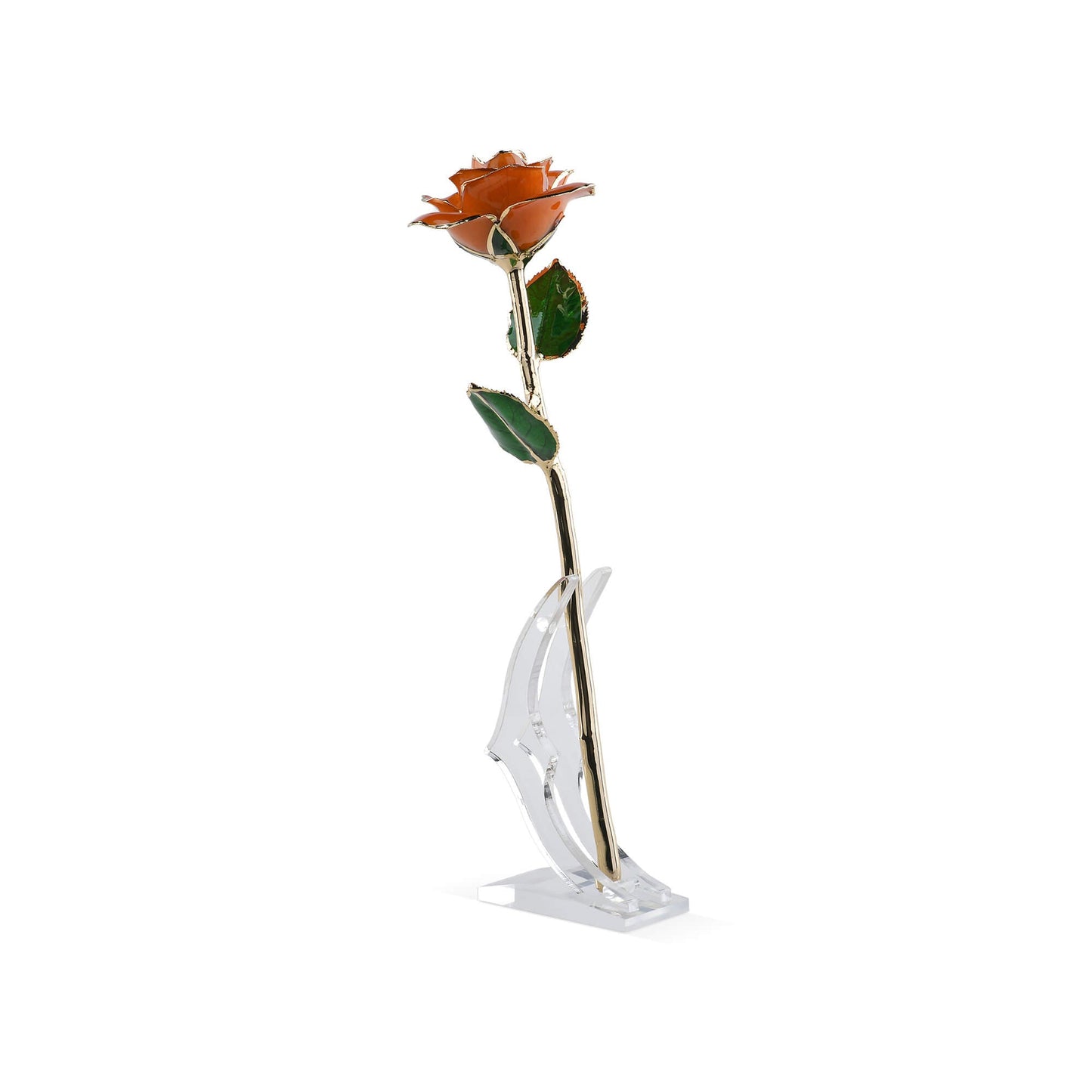 Timeless Rose (Orange) - Concordia Style Boutique