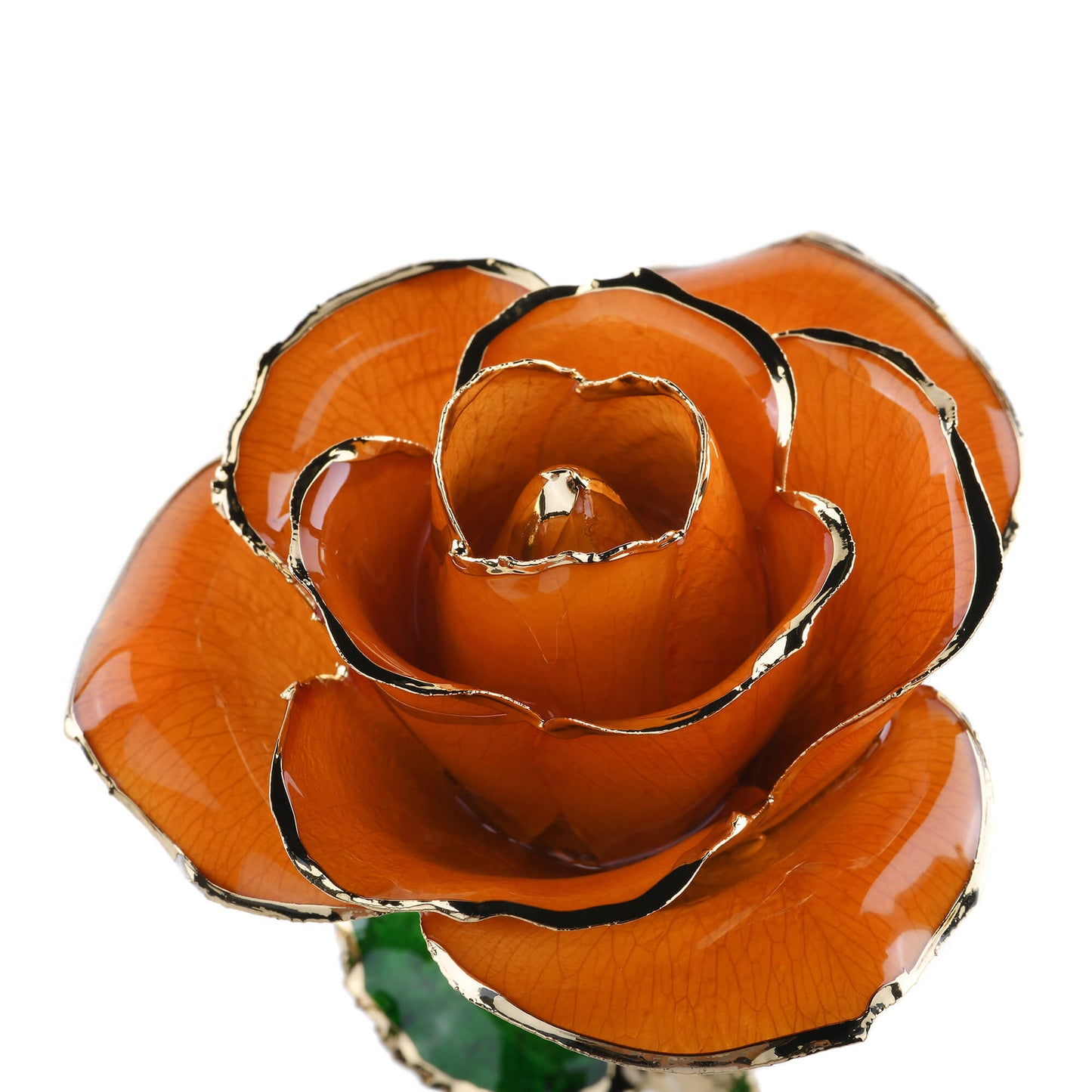 Timeless Rose (Orange) - Concordia Style Boutique