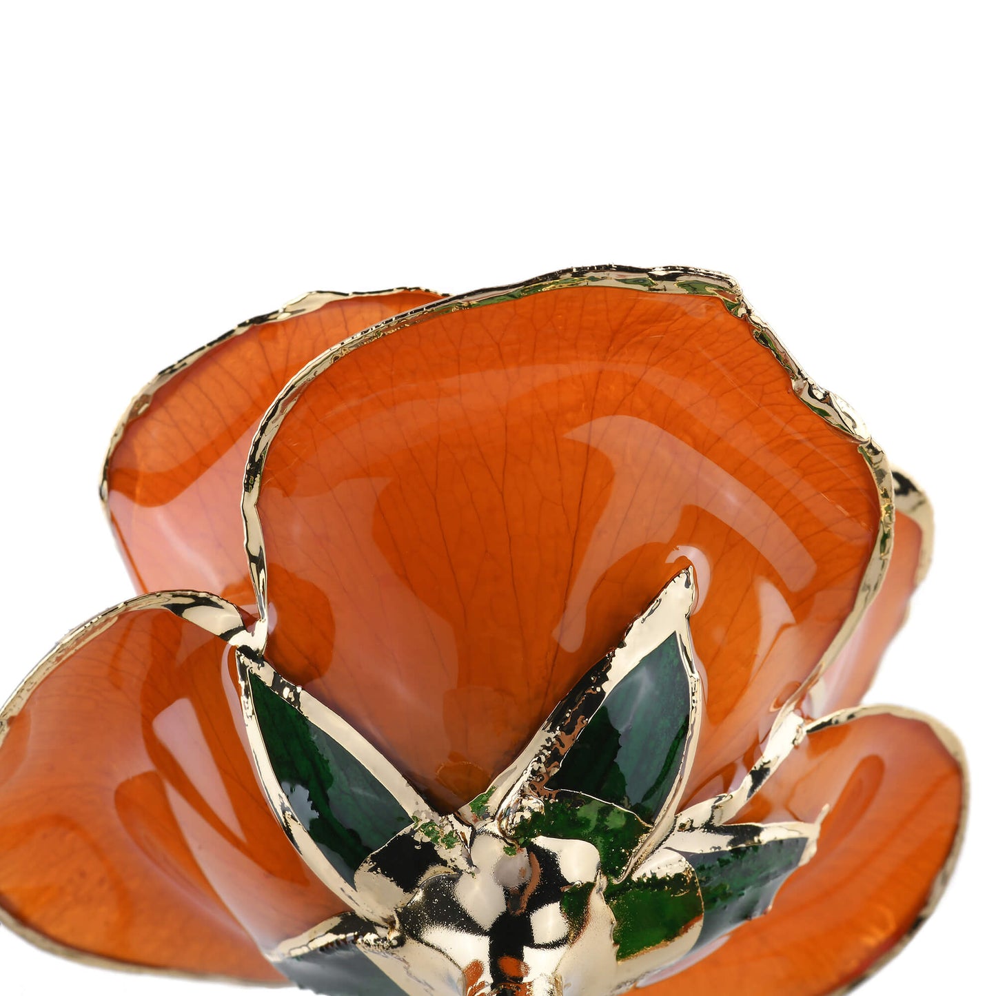 Timeless Rose (Orange) - Concordia Style Boutique