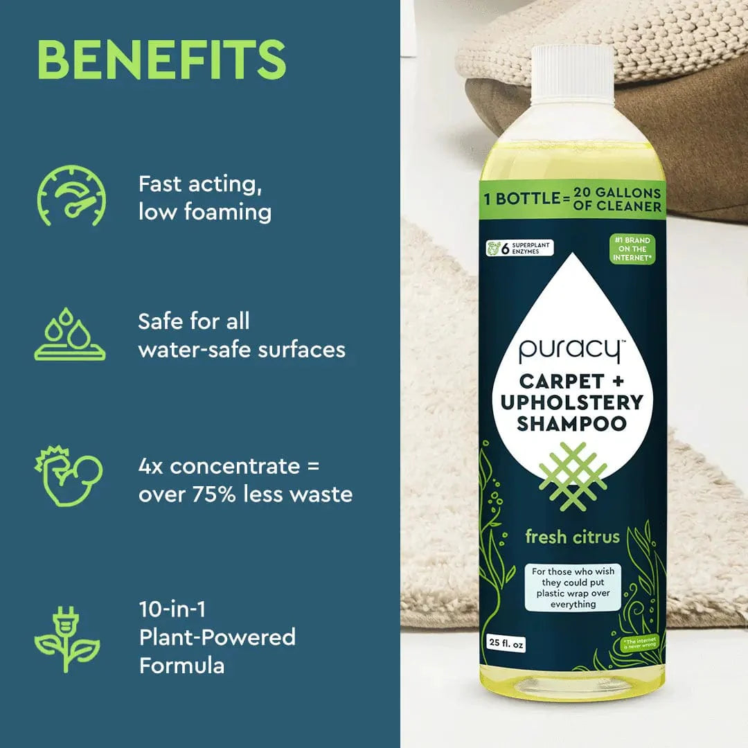 Carpet & Upholstery Shampoo - Concordia Style Boutique